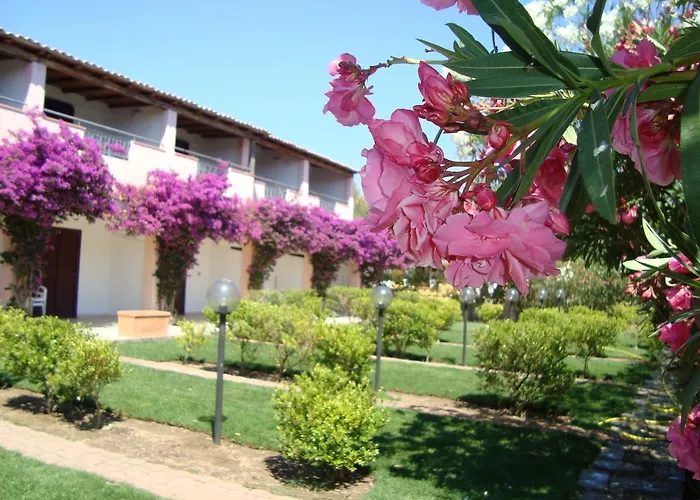 Marina Maria Daire Murta Maria